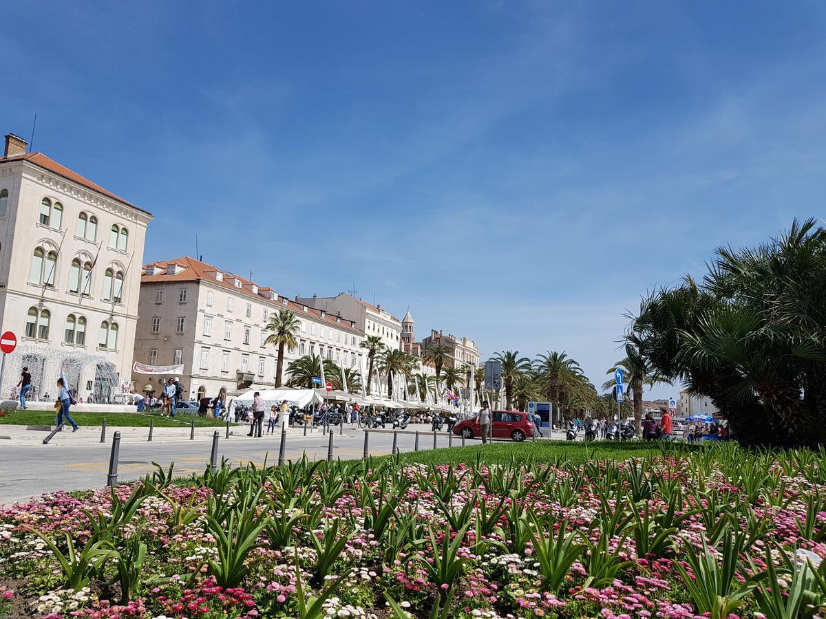 Apartament Sonja